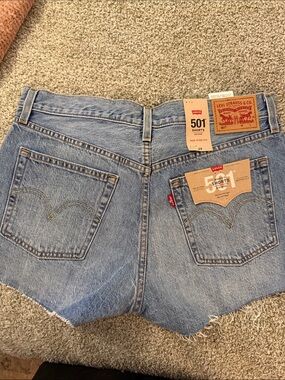 Levi's Blue Denim Cutoff Shorts